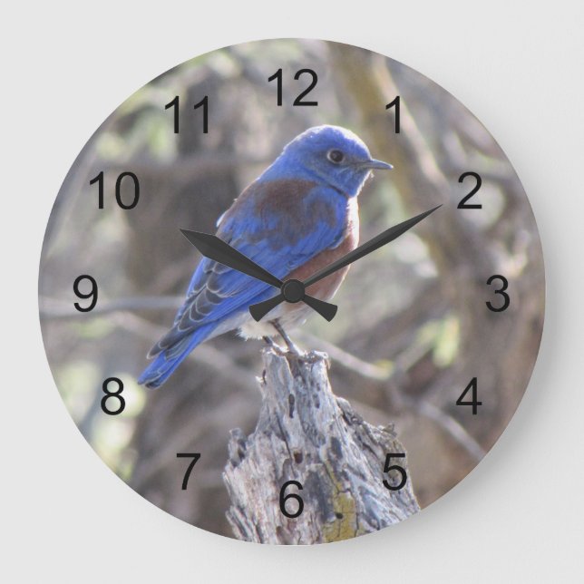 Grande Horloge Ronde Bluebird (Recto)