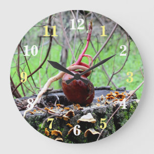 Grande Horloge Ronde Buckeye Tree Sprout Round Wall Clock