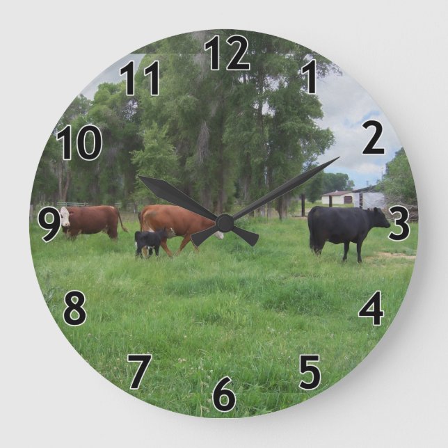 Grande Horloge Ronde Calves et vaches du pâturage (Recto)