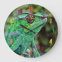 Caméléon