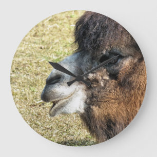 GRANDE HORLOGE RONDE CAMELS