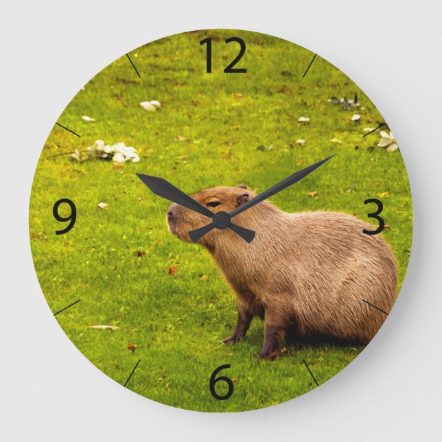 Grande Horloge Ronde Capybara (Recto)