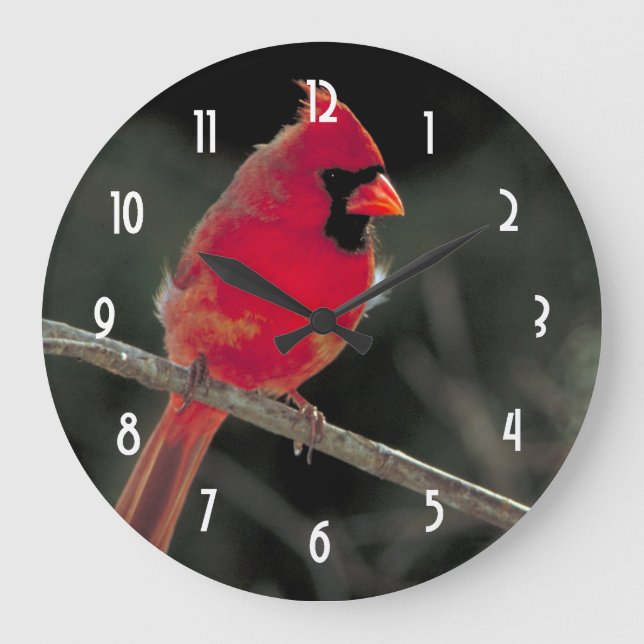 Grande Horloge Ronde Cardinal rouge perché sur une branche d'arbre (Recto)