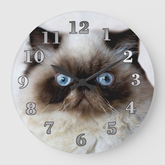 Grande Horloge Ronde Chat drôle (Recto)