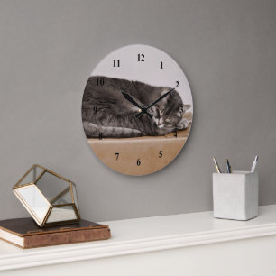 Grande Horloge Ronde Chat tigré gris dormant sur la boîte