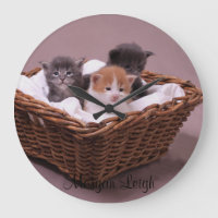 Chatons dans un panier