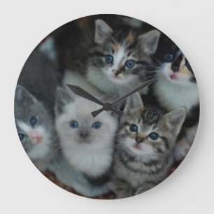 Grande Horloge Ronde Chatons dans un panier