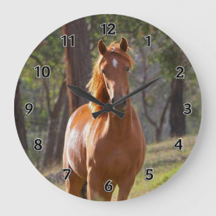 Grande Horloge Ronde Cheval Dans Les Bois