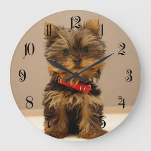 Grande Horloge Ronde Chien à chiots du Yorkshire Terrier