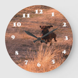 Grande Horloge Ronde Chien de Daschund sautant en photo de The Field