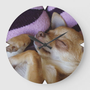 Grande Horloge Ronde Chihuahua endormi