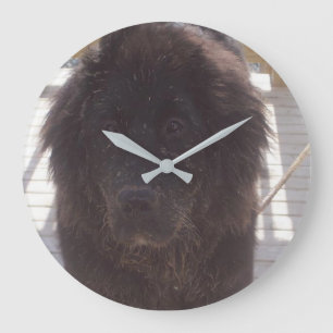 Grande Horloge Ronde Chiots Boueux de Terre-Neuve