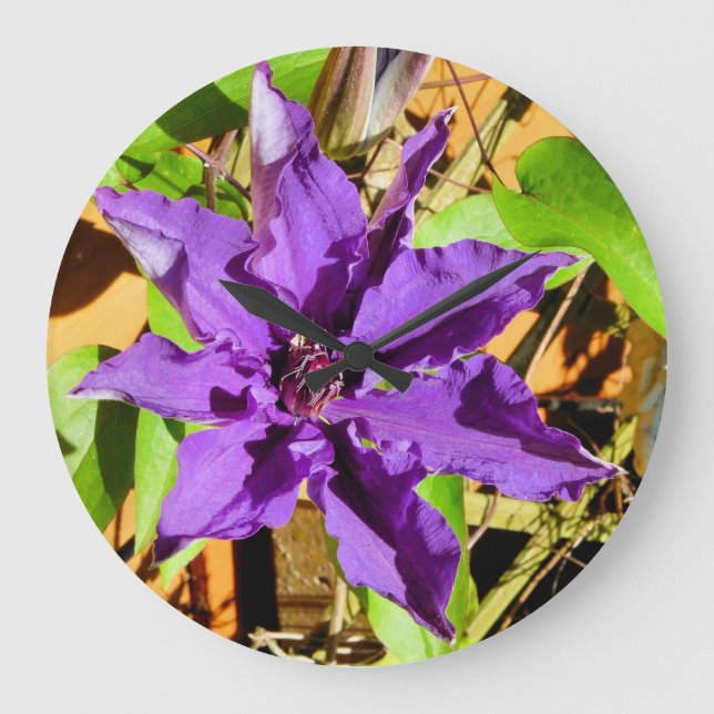 GRANDE HORLOGE RONDE CLEMATIS (Recto)