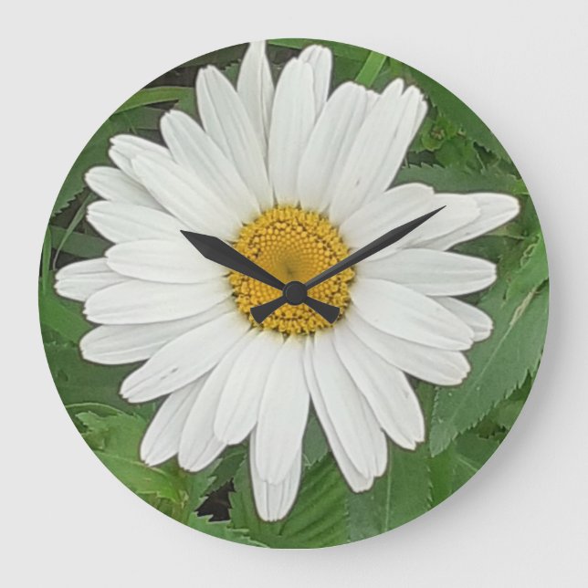 Grande Horloge Ronde Clock blanc daisy (Recto)