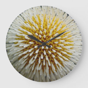 Grande Horloge Ronde Clock de Dandelion