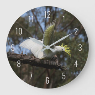 Grande Horloge Ronde Cockatoo Bird Parrot Fly Wings