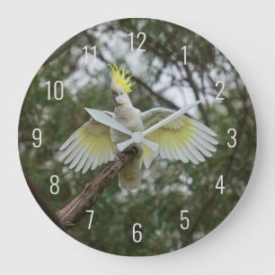 Grande Horloge Ronde Cockatoo Bird Parrot Fly Wings