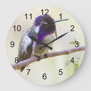 Grande Horloge Ronde Colibri de Costa perché sur une branche