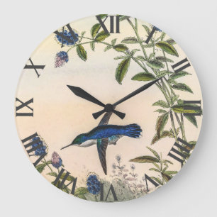 Grande Horloge Ronde Colibri par John Gould