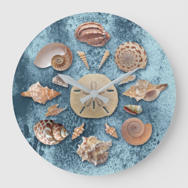 Grande Horloge Ronde Collection de coquillages (Recto)