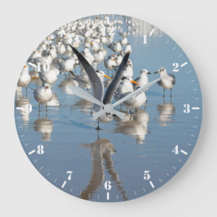 Grande Horloge Ronde Colony of gulls on the beach