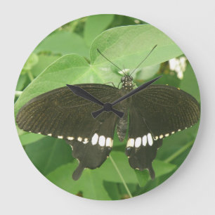 Grande Horloge Ronde Common Mormon Butterfly Wall Clock