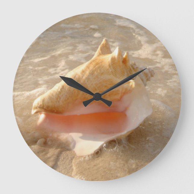 Grande Horloge Ronde Conque Shell en sable sur la plage tropicale (Recto)