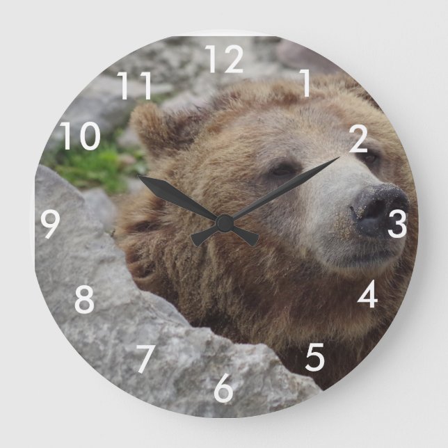 Grande Horloge Ronde Cook bear (Recto)