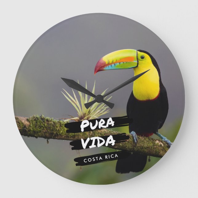 Grande Horloge Ronde Costa Rica Pura Vida Toucan Photo (Recto)