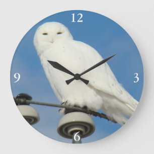 Grande Horloge Ronde Could you please provide the German sentence you’d