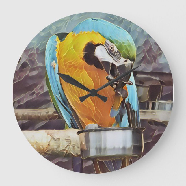 GRANDE HORLOGE RONDE CUTE MACAW (Recto)
