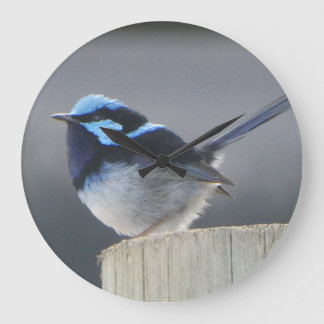 Grande Horloge Ronde Cute Superb Fairywren Wall Clock