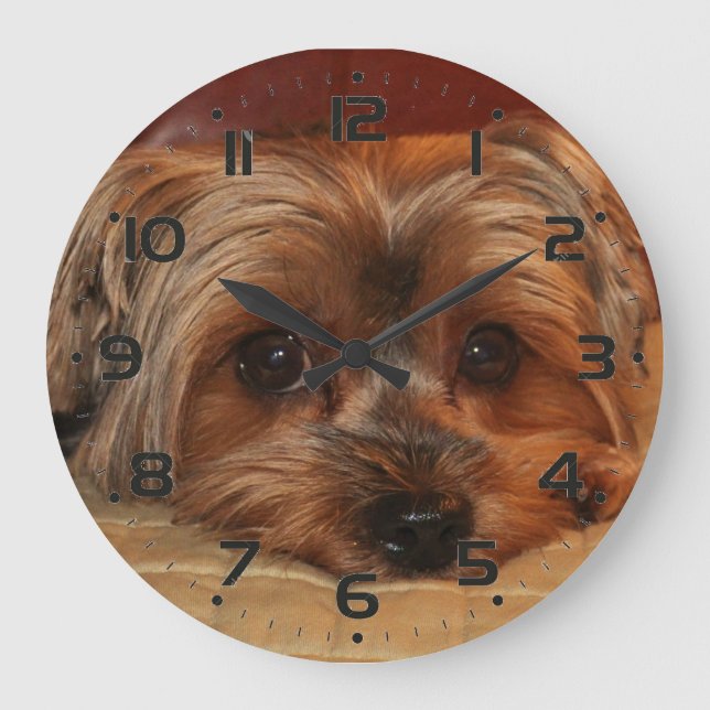 Grande Horloge Ronde Cute Yorkshire Terrier Puppy (Recto)