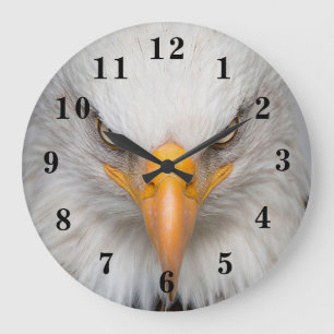 Grande Horloge Ronde Eagle chauve majestueux