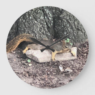 Grande Horloge Ronde Écureuil