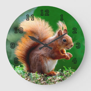 Grande Horloge Ronde Écureuil mignon sur l'horloge d'herbe