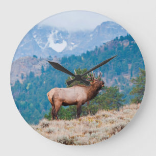 Grande Horloge Ronde Élans (Cervus Elephus) Taureau Bugling