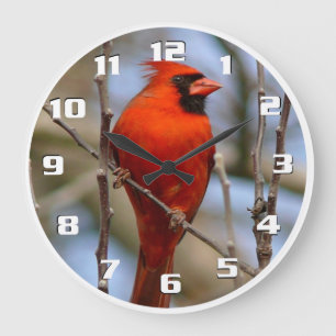 Grande Horloge Ronde Elegant Christmas bird Red cardinal Beautiful