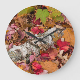 Grande Horloge Ronde Érable Feuille D'Automne Couvrir L'Écorce De Bir