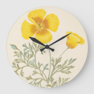 Grande Horloge Ronde Eschscholtzia californien