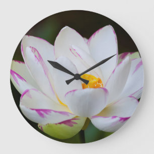 Grande Horloge Ronde États-Unis, Géorgie, Savannah, Floraison de lotus