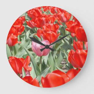 Grande Horloge Ronde États-Unis, Kansas, tulipes rouges avec une tulip