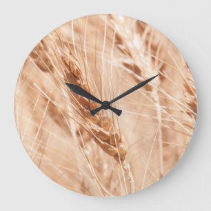 Grande Horloge Ronde États-Unis, Kansas, Wheat At Harvest Time