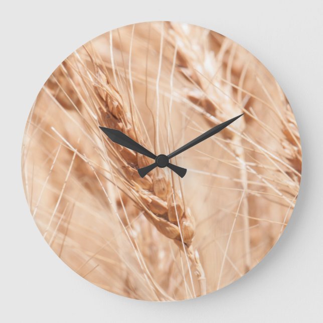 Grande Horloge Ronde États-Unis, Kansas, Wheat At Harvest Time (Recto)
