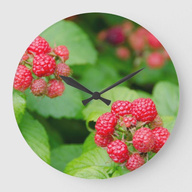 Grande Horloge Ronde États-Unis, Massachusetts, Nantucket. Ripe Raspber (Recto)