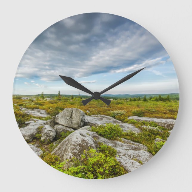 Grande Horloge Ronde États-Unis, Virginie-Occidentale, Davis. Paysage à (Recto)