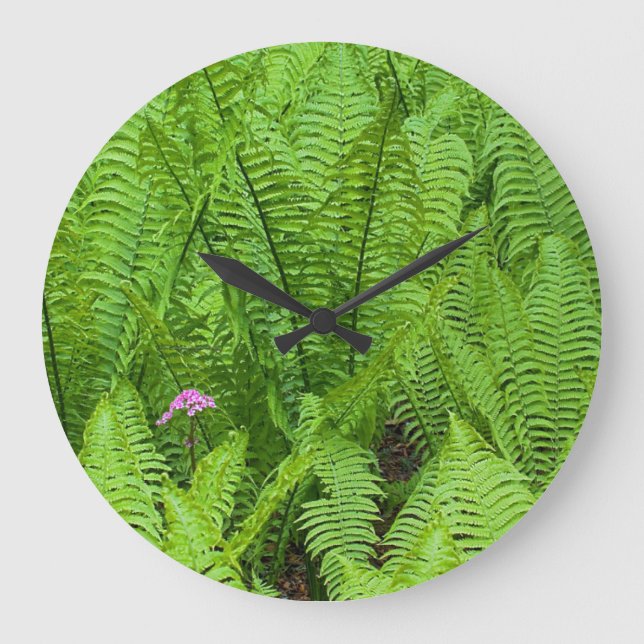 Grande Horloge Ronde États-Unis, Washington, Seattle, Washington Park (Recto)