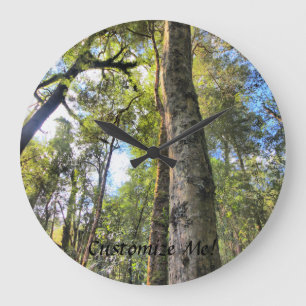 Grande Horloge Ronde Eucalyptus gommiers de la forêt pluviale australie