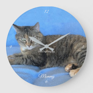 Grande Horloge Ronde félin de chat familier chaleureux bébé grand ho