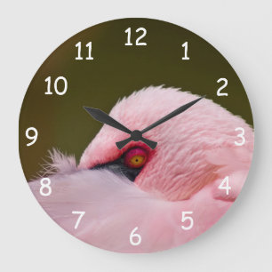 Grande Horloge Ronde Flamant rose oeil